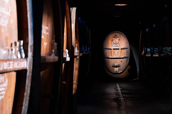 Wine tour, tasting and Alsatian meal - 100% immersive experience - The Final Word