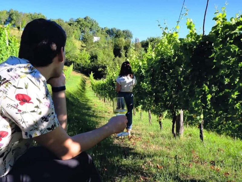Wine Tour & Tasting of 6 Wines  Le Macchie, near Rome - A Guided Wine Journey in Lazio: Le Macchie Near Rome