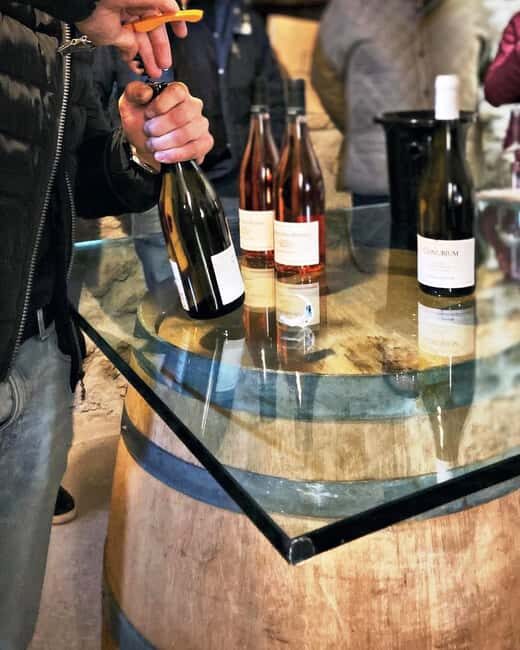 Wine Tour & Tasting of 6 Wines  Le Macchie, near Rome - An In-Depth Look at the Le Macchie Wine Tour