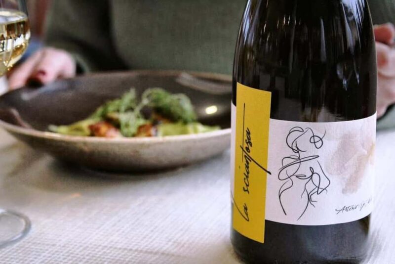 Wine Tour & Tasting of 6 Wines  Le Macchie, near Rome - FAQ About the Le Macchie Wine Tour