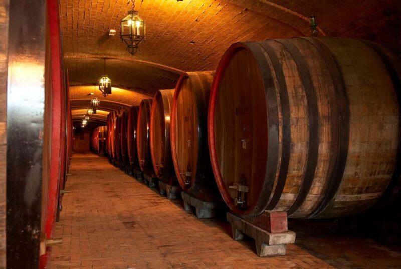 Wine Tour & Tasting TUSCANY - Key Points