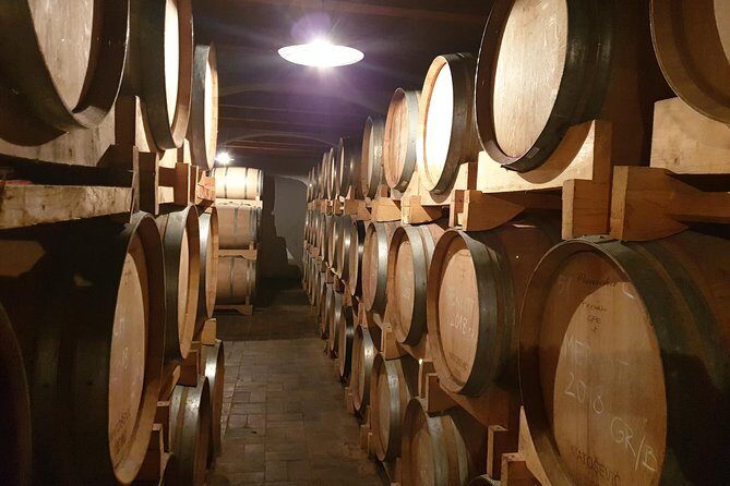 Wine Tour - The Best of Istria - Who Will Love This Tour?