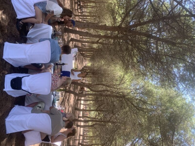 Wine Tour through the vineyards with tasting by Salt Lake - Discover the Vineyards and Nature of La Mata with a Guided Wine Tour