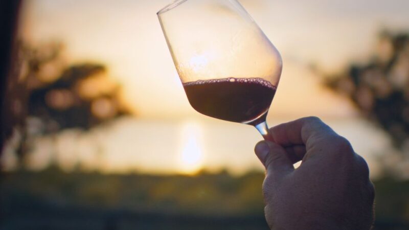 Wine Tour through the vineyards with tasting by Salt Lake - A Closer Look at the Tour Experience