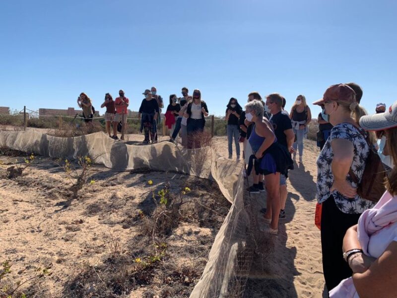 Wine Tour through the vineyards with tasting by Salt Lake - Practicalities and Considerations