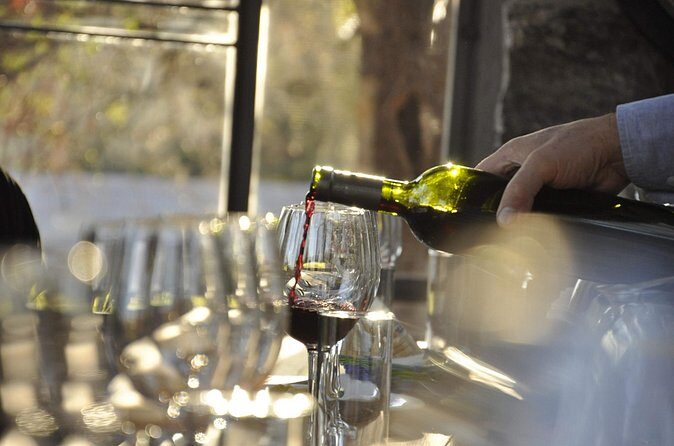 Wine Tour to Colonia Caroya, Cordoba - Half Day - Frequently Asked Questions