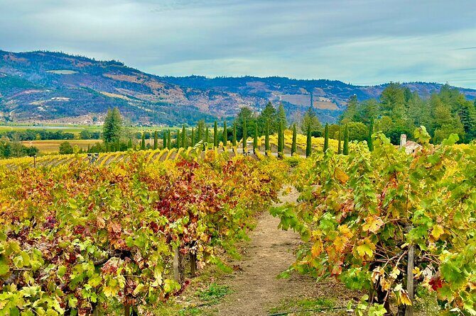 Wine Tour Transportation Services in Napa Valley - FAQ