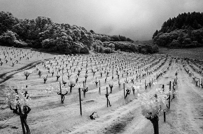 Wine tour up to 6 passengers - FAQs