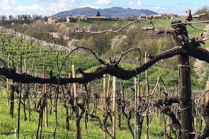Wine Tour whit wine tasting - Final Thoughts