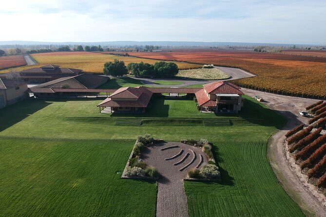 Wine Tour with Lunch and Transport in Mendoza - Key Points