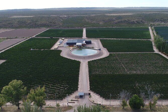 Wine Tour with Lunch and Transport in Mendoza - Who Will Love This Tour?