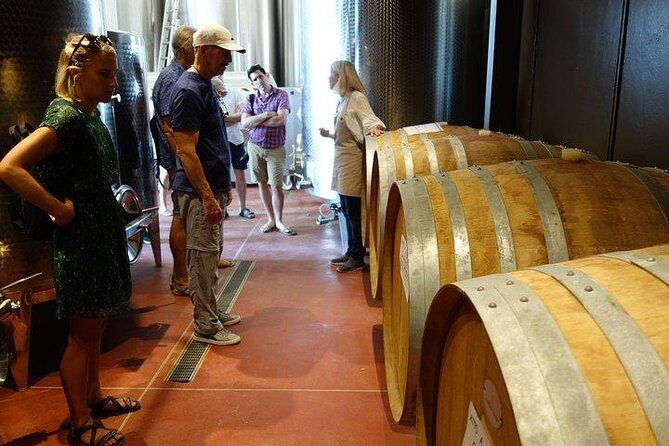 Wine Tour with Lunch and Wine Tasting - In-Depth Review: Exploring the Heart of Tuscan Wine at a Small Family Estate