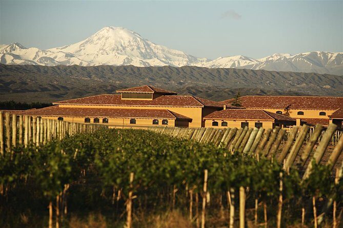 Wine tour with lunch - Exploring Mendoza’s Wine Treasures: A Deep Dive