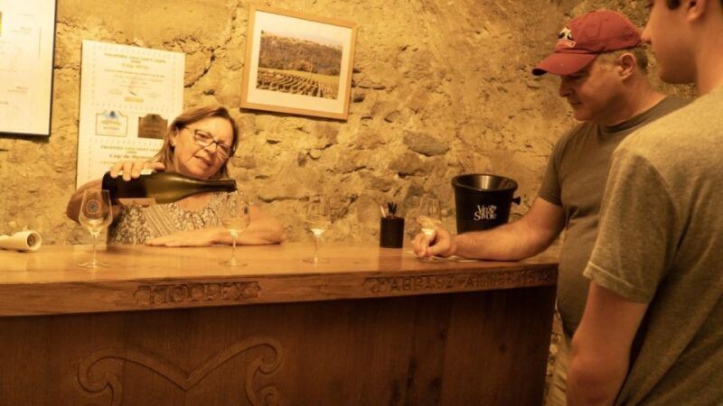Wine Tour with private driver - 10 hours - Pricing and Value