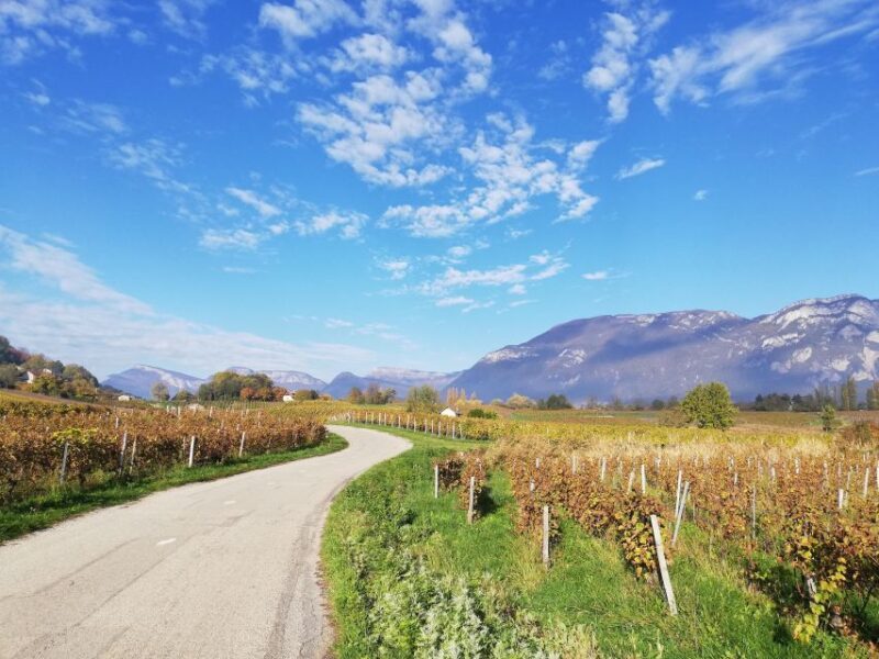 Wine Tour with private driver - 10 hours - Final thoughts
