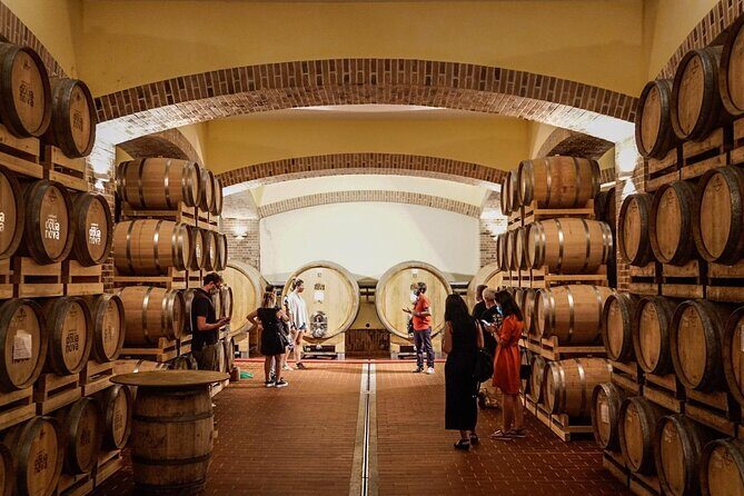 WINE TOUR with sommelier in a winery near Cagliari - A Closer Look at the Sardinian Wine Tour