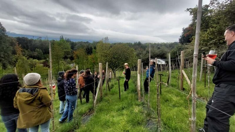 Wine Tour with tasting at Pucón's first winery - Discover Pucón’s First Winery: An Authentic Chilean Wine Experience