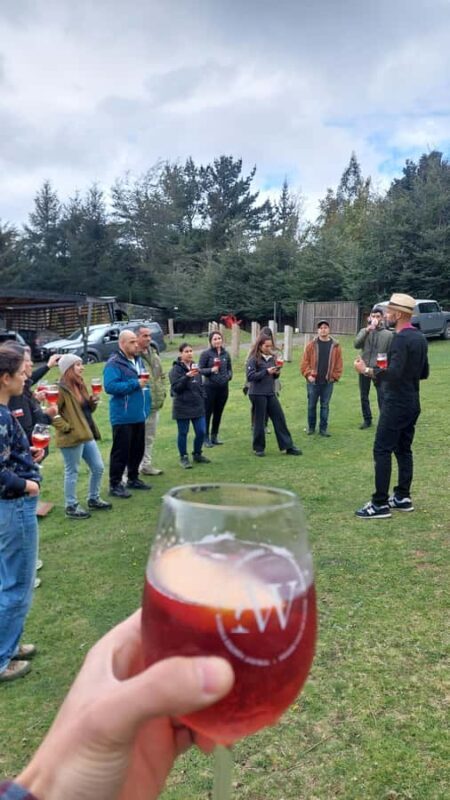 Wine Tour with tasting at Pucón's first winery - Why This Tour Is a Great Fit
