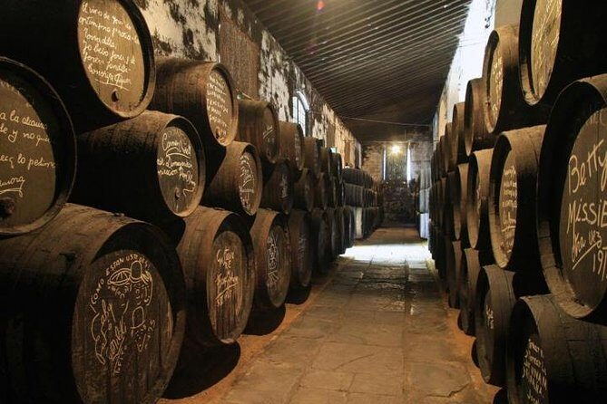 Wine Tourism Half Day Tour - A Deep Dive Into the Wine Tour
