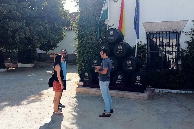 Wine tourism, visit to a traditional winery and wine tasting - An In-Depth Look at the Winery Tour Near Seville