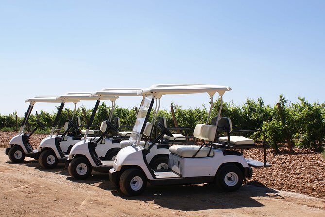 Wine tourism: Wine tasting - Exploring the Vineyards by Buggy: A Fun and Scenic Approach