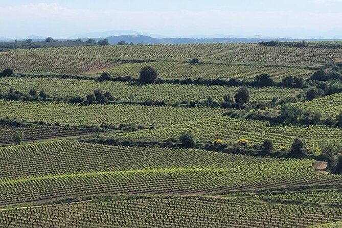 Wine Tours and Tastings from Béziers - Who Should Consider This Tour?