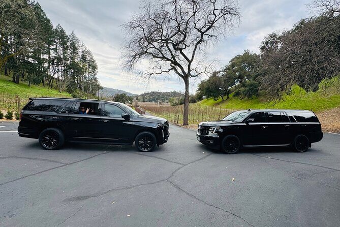 Wine Tours for 6 Hours and Private Transportation Services - Exploring the Heart of Napa & Sonoma: An In-Depth Review