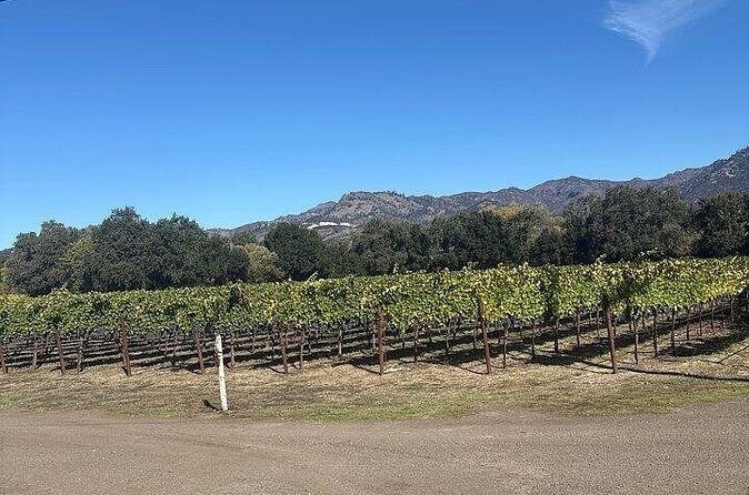 Wine Tours in Napa Valley - Final Thoughts