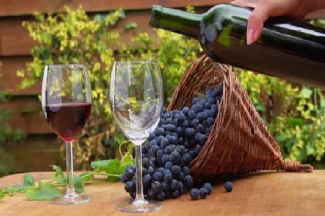 wine tours in wine country mendoza Argentina - An In-Depth Look at the Mendoza Wine Tour Experience