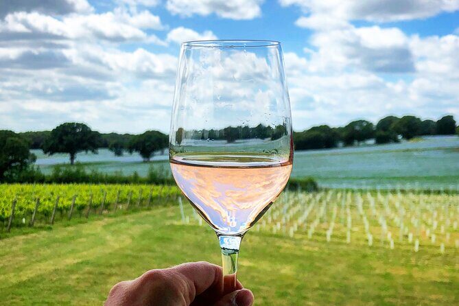 Wine Tours of Kent Private group booking - A Taste of Kent: Exploring Award-Winning English Wine on a Private Tour