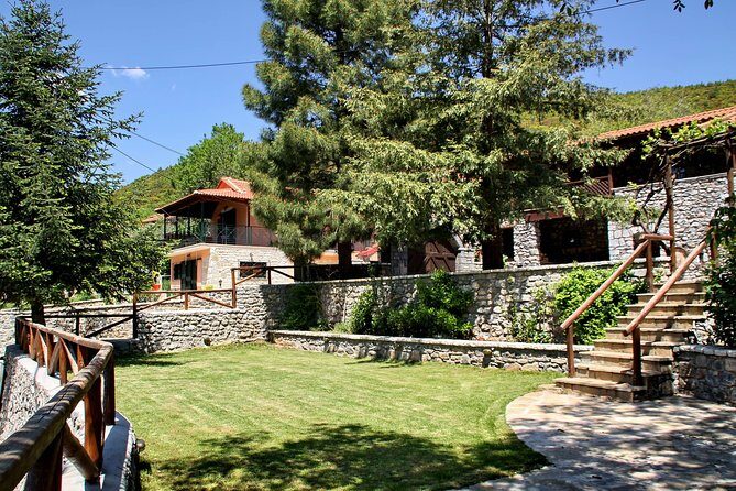 Wine Tours & Tasting in Family Wineries in Arcadia or Nemea - A Deep Dive into the Greek Wine Experience
