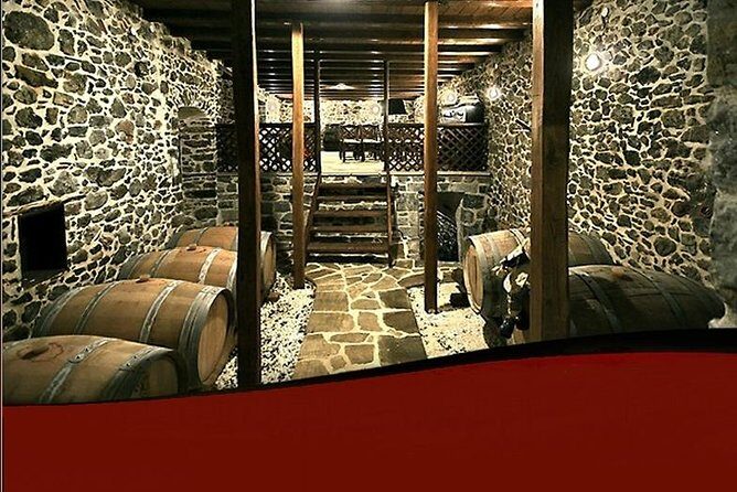 Wine Tours & Tasting in Family Wineries in Arcadia or Nemea - Final Thoughts