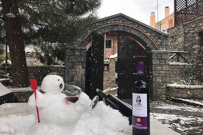 Wine Tours & Tasting in Family Wineries in Arcadia or Nemea - FAQs