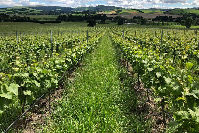 Wine trail and Christchurch City - Luxury, Small Group Tour - Final Thoughts