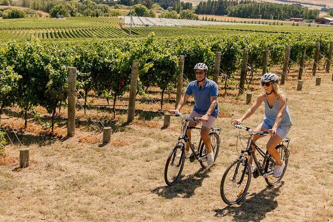 Wine trail and Christchurch City - Luxury, Small Group Tour - FAQs