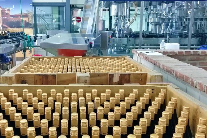 Wine Trails Private Tour/ Nemea visit 3 wineries from Athens or Nafplion (10 h) - Transportation and Flexibility