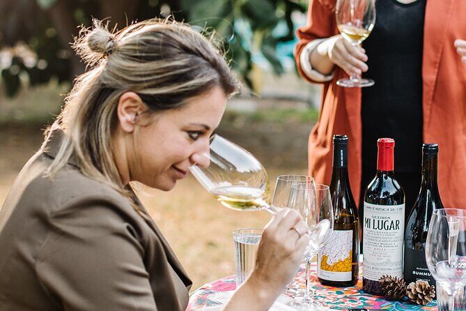 Winederlust Wine Tasting - Winederlust Wine Tasting in Malaga: A Genuine Sip of Spain
