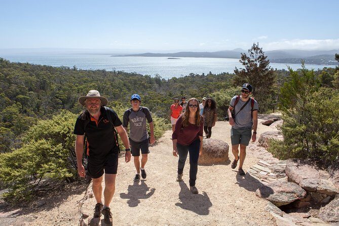 Wineglass Bay and Freycinet National Park Active Day Trip from Hobart - The Scenic Drive and Additional Highlights