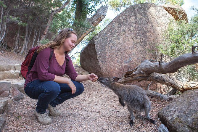 Wineglass Bay and Freycinet National Park Active Day Trip from Hobart - Final Thoughts