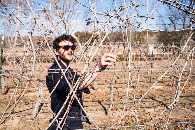 Winemaker Tour & Barrel Tasting - Key Points