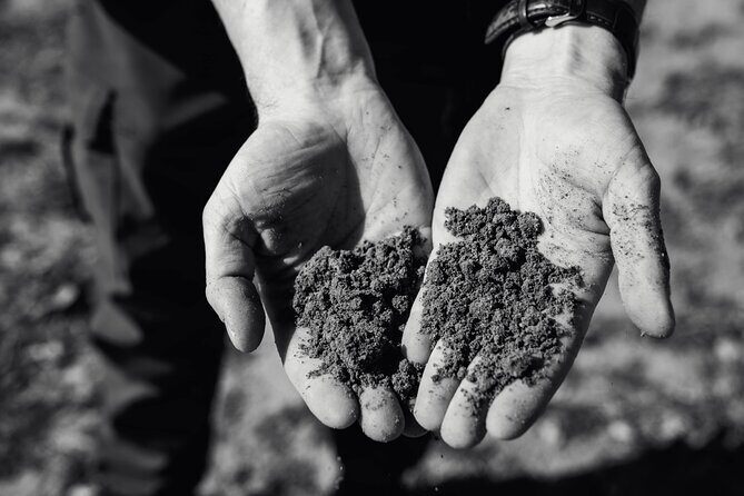 Winemaker Tour & Barrel Tasting - Frequently Asked Questions