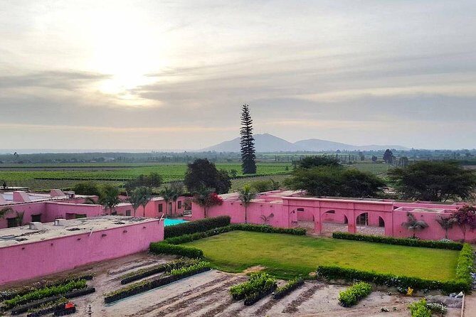 Winery and Pisco Distillery tour - What to Expect During the Tour