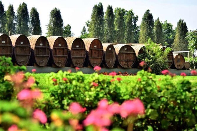 Winery and Pisco Distillery tour - Who Will Enjoy This Tour?