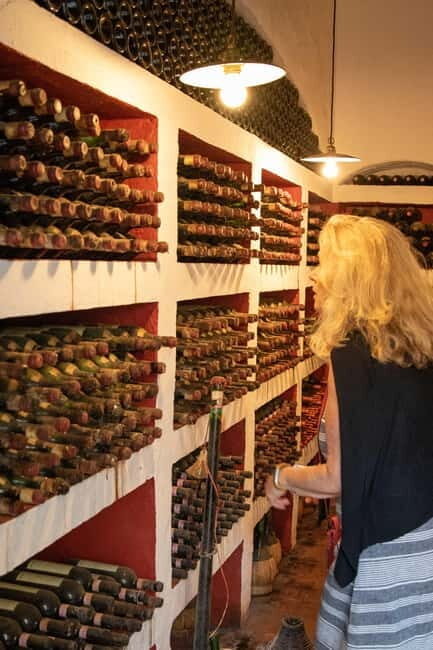 WINERY AND VINSANTAIA TOUR + TASTING + PLATTER - A Closer Look at the Experience