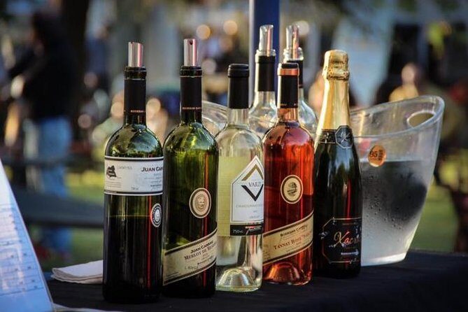 Winery Carrau Visit and Tasting - Key Points