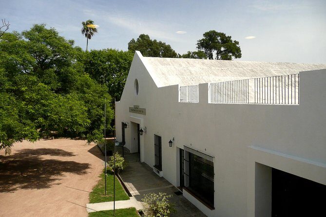 Winery Carrau Visit and Tasting - Who Should Consider This Tour?