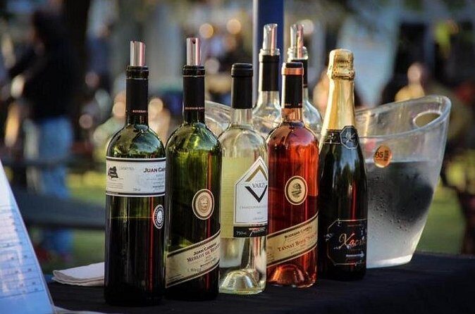 Winery Carrau Visit and Tasting - Frequently Asked Questions