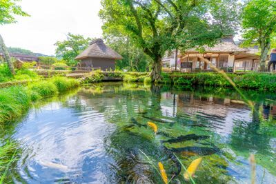 Winery & Oshino Hakkai Full-Day Tour with Fruit Picking - Oshino Hakkai: clear water and room to pause