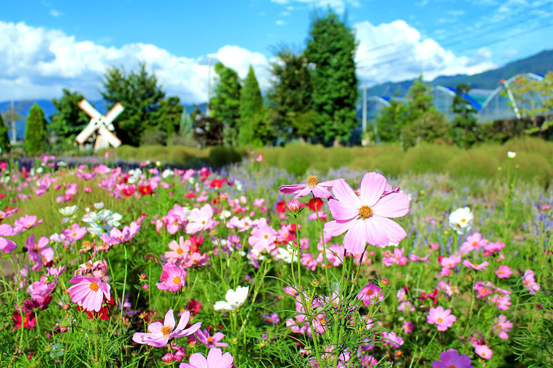 Winery & Oshino Hakkai Full-Day Tour with Fruit Picking - Who will enjoy this tour most?