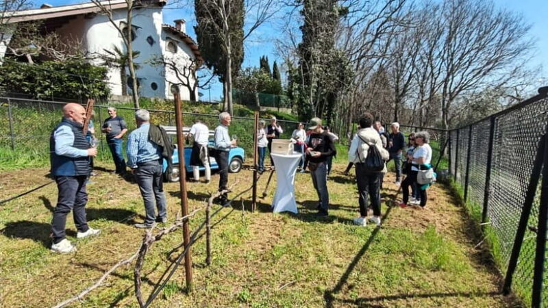 Winery tasting: tour with tasting on the estate. - An In-Depth Look at the Estate and Tasting